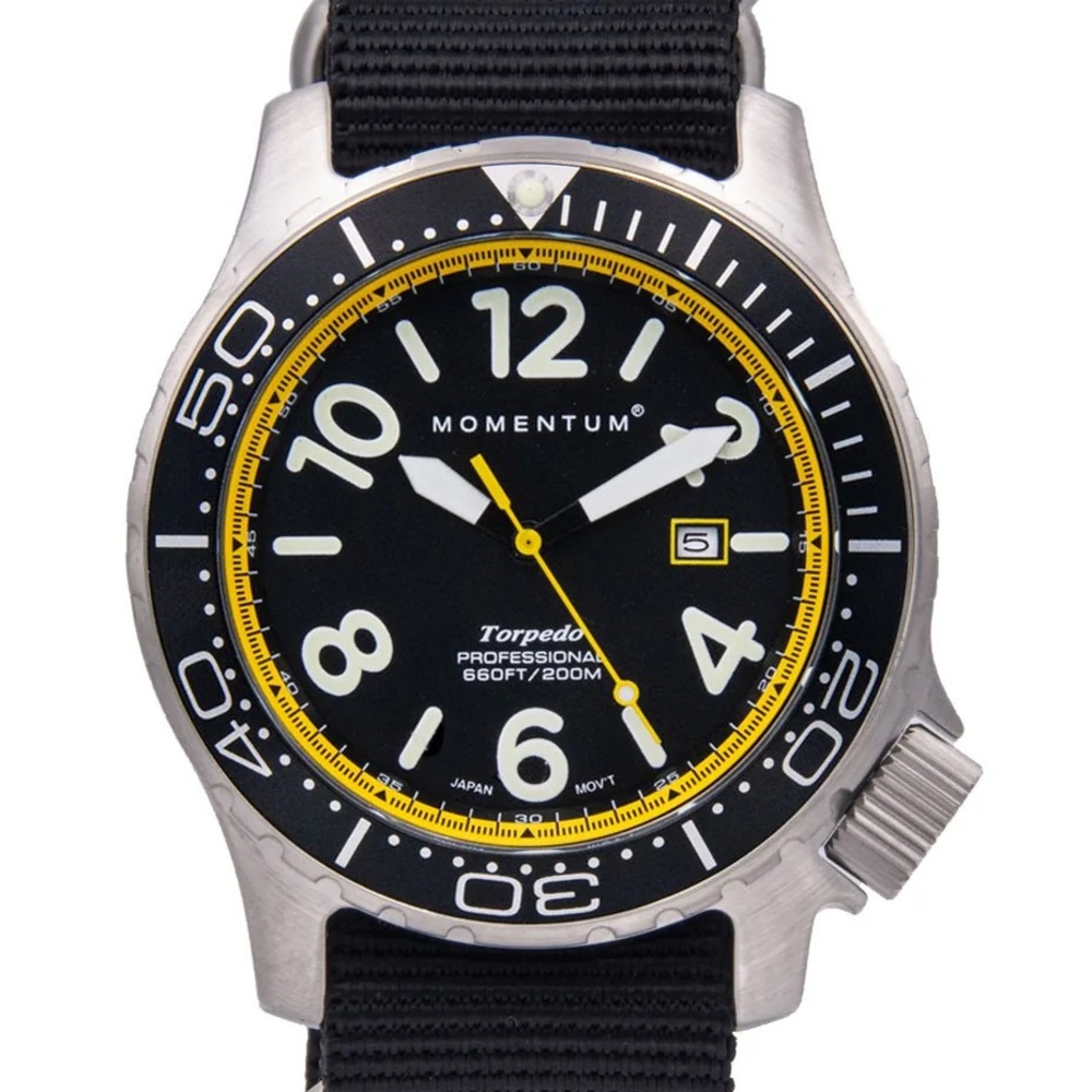 Professional Dive Watch